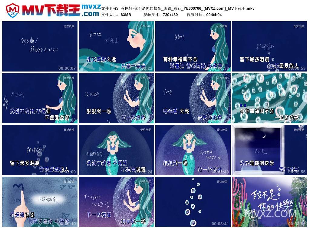 蔡佩轩-我不是你的快乐_国语_流行_YE300766